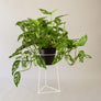Skaha 18" - Plant Stands - By plantwares™