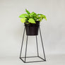 Tulameen 18" - Plant Stands - By plantwares™