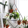 Fernie - Plant Stands - By plantwares™