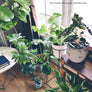 Tulameen 28" - Plant Stands - By plantwares™