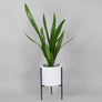 Naramata + Cylinder Ceramic Pot - Plant Stands - By plantwares™