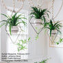 Fernie - Plant Stands - By plantwares™