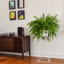 Tulameen 28" - Plant Stands - By plantwares™