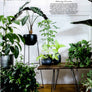 Skaha 28" - Plant Stands - By plantwares™