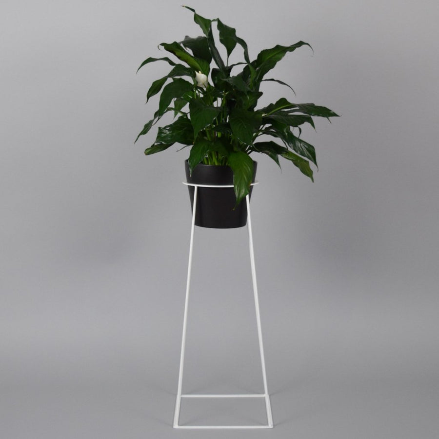 Tulameen 28" - Plant Stands - By plantwares™