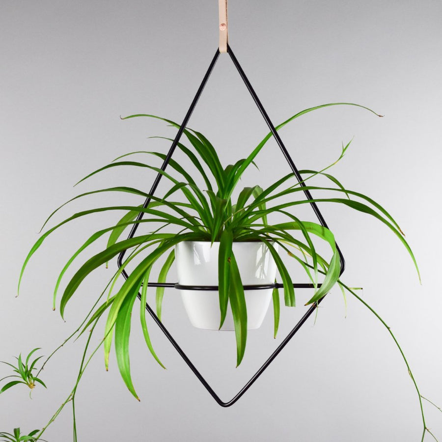 minimalist plant hanger Fernie – Plantwares